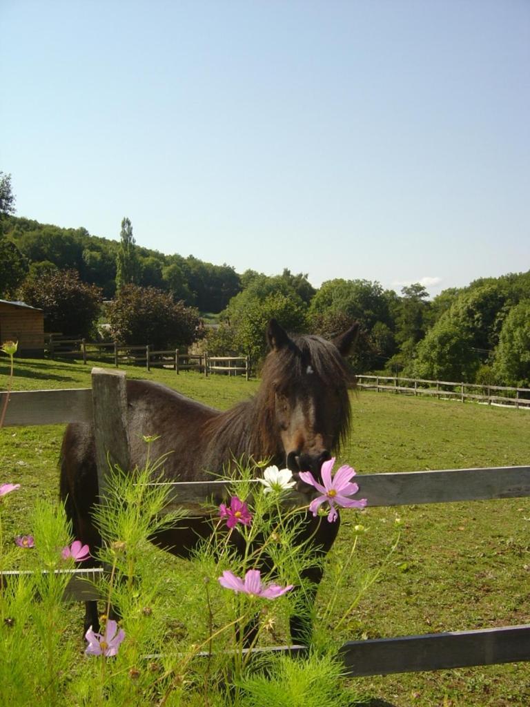 Moulin D'huile Chalet Chaumard